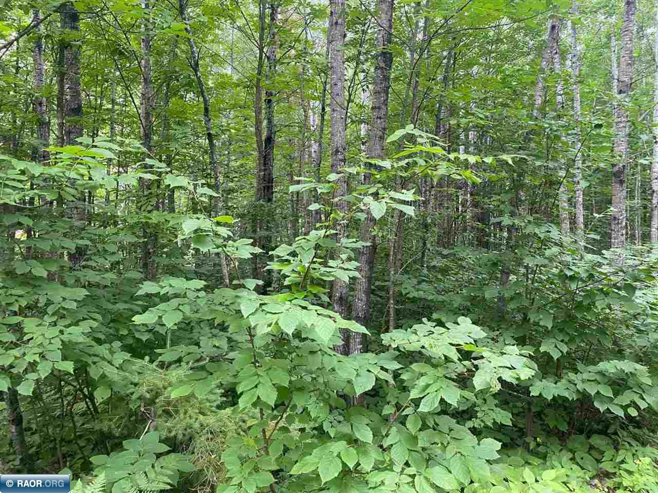 TBD Hwy 1 Tower MN 55790 - Pike River 148752 image15