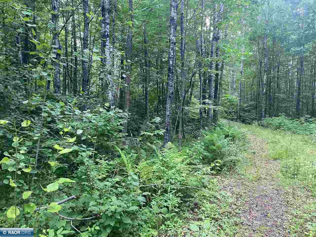 TBD Hwy 1 Tower MN 55790 - Pike River 148752 image16