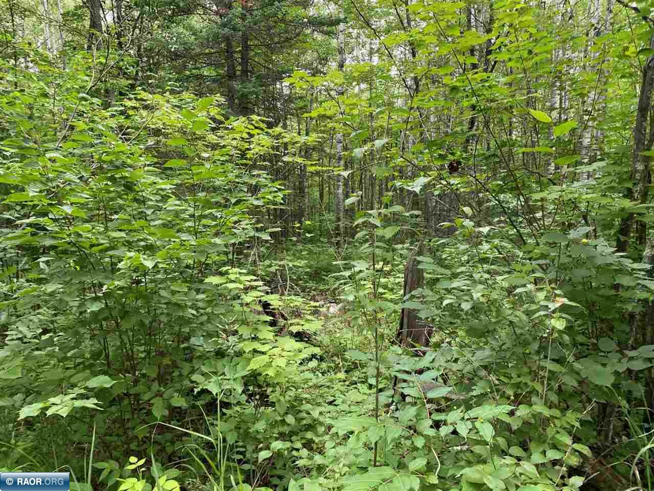 TBD Hwy 1 Tower MN 55790 - Pike River 148752 image17