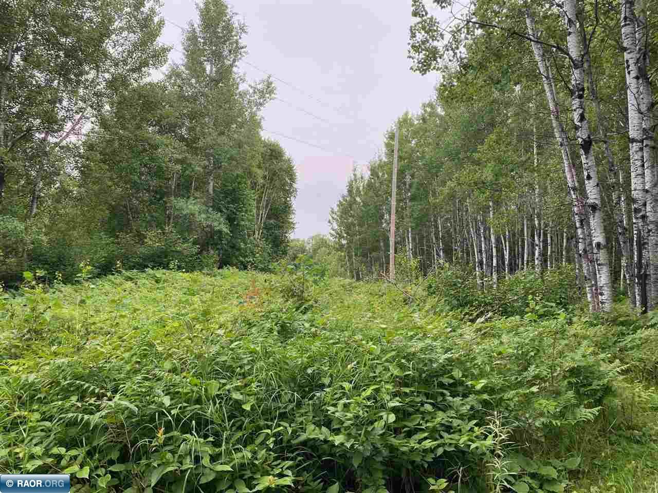 TBD Hwy 1 Tower MN 55790 - Pike River 148752 image6