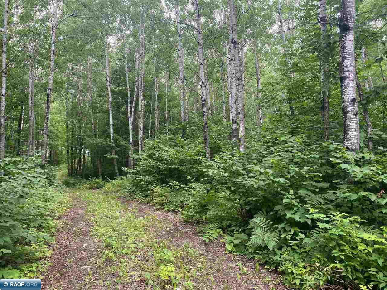 TBD Hwy 1 Tower MN 55790 - Pike River 148752 image8