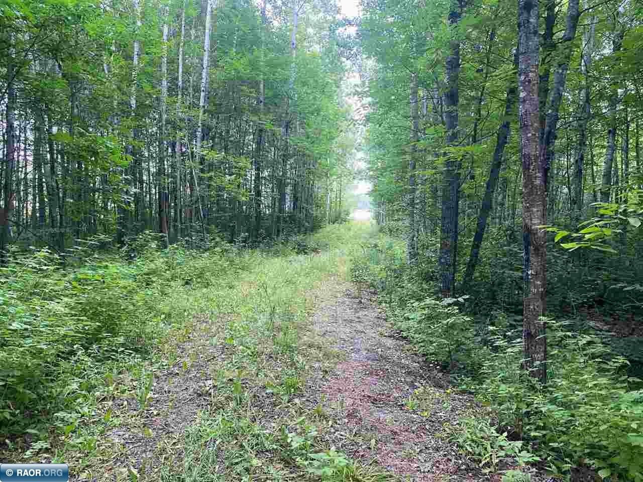 TBD Hwy 1 Tower MN 55790 - Pike River 148752 image9