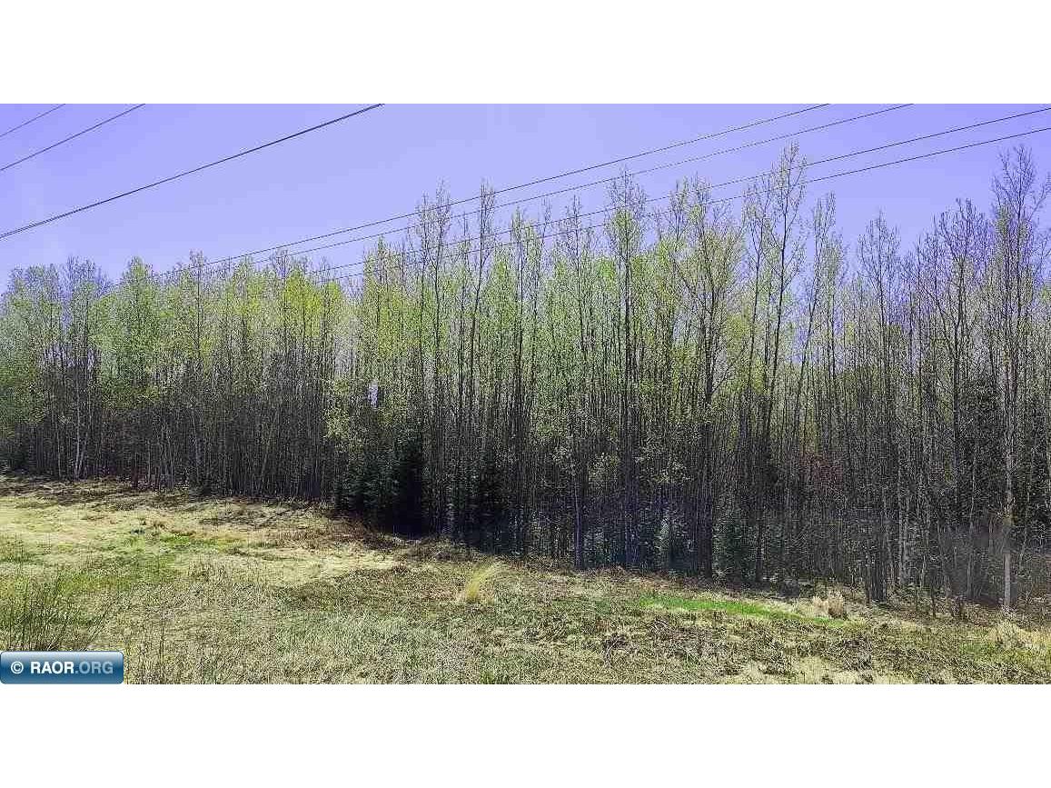 TBD Hwy 115 Tower MN 55790 148308 image1