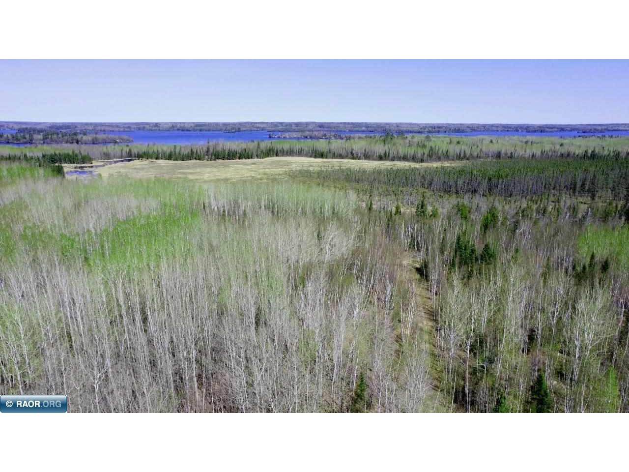 TBD Hwy 115 Tower MN 55790 148310 image1