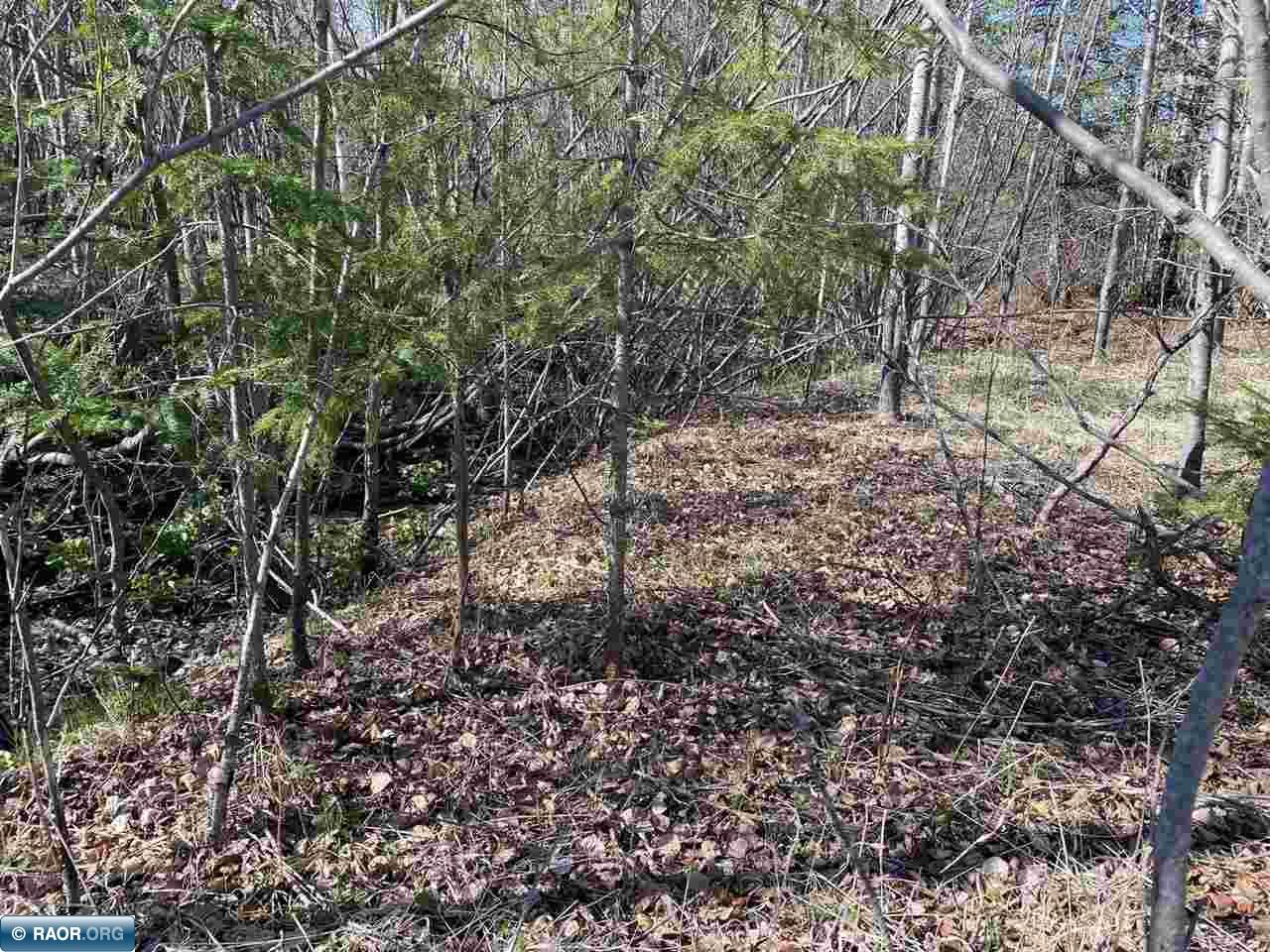 TBD Hwy 21 Embarrass MN 55732 146681 image1