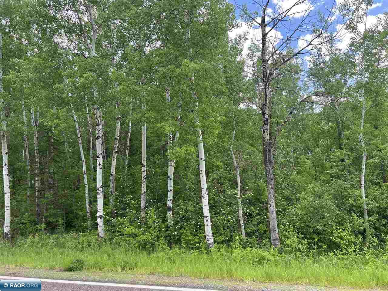 TBD Hwy 22 Angora MN 55703 146876 image1