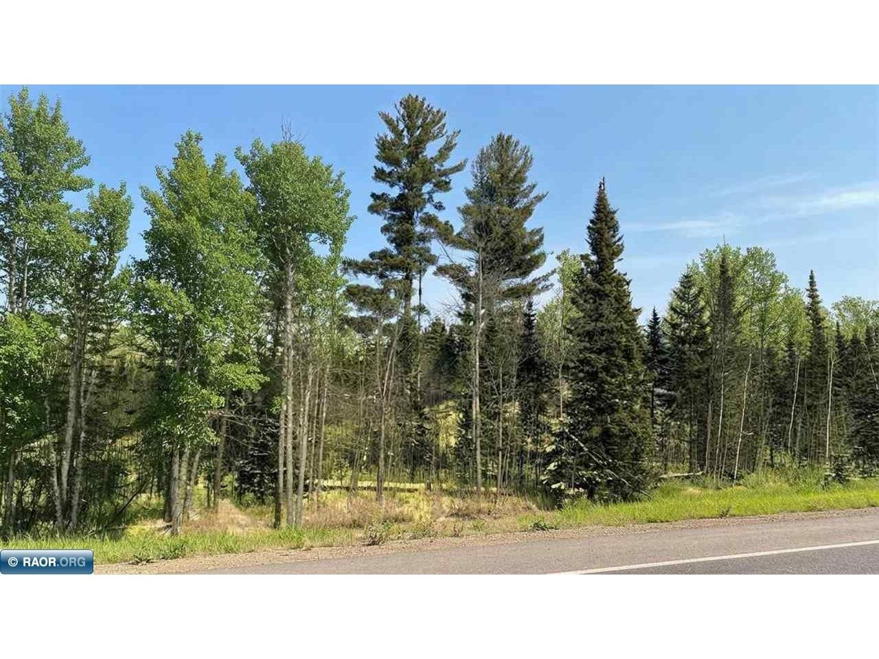 TBD Hwy. 22 Cook MN 55703 149432 image6