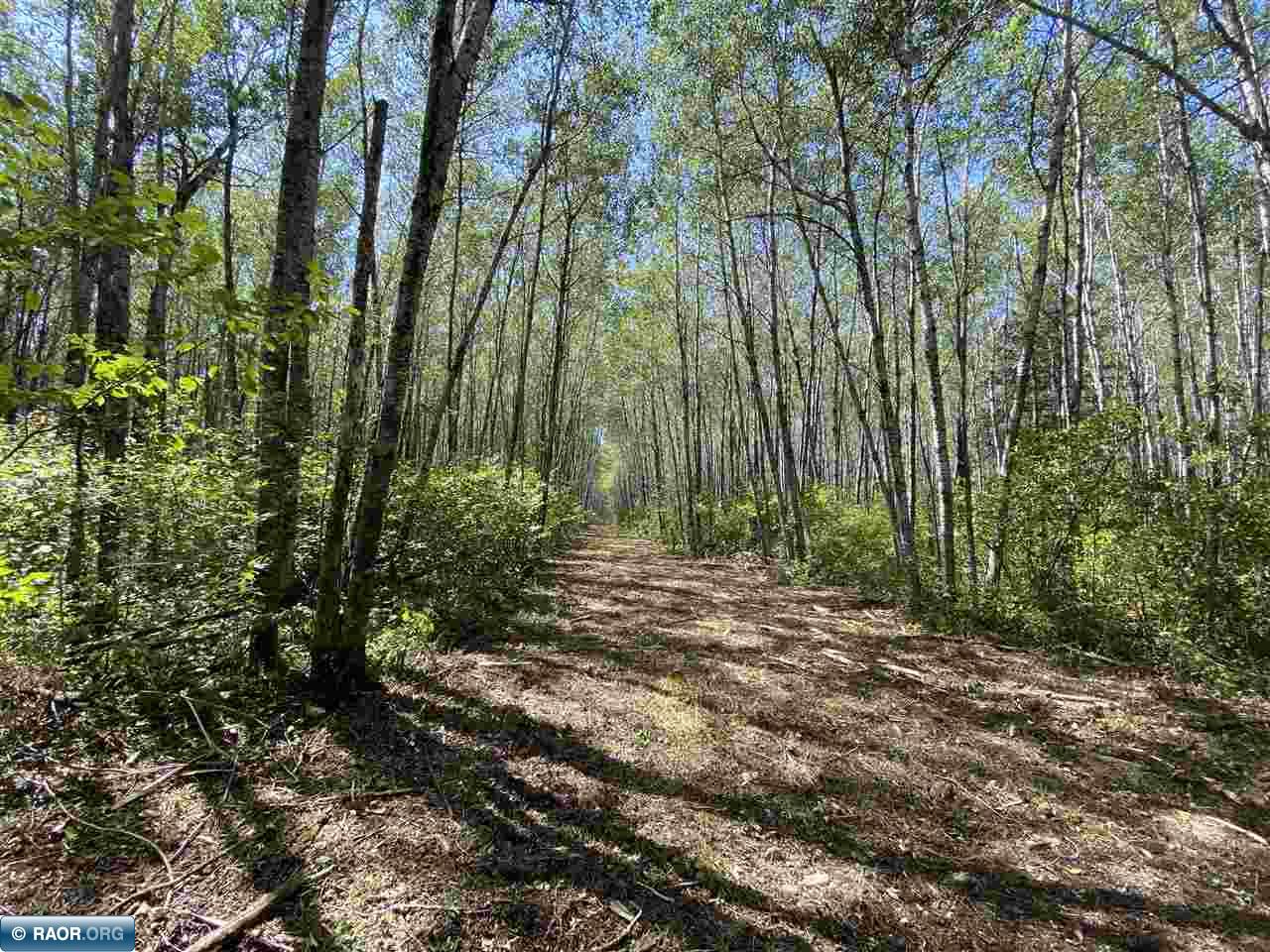 TBD Hwy 5 Cook MN 55723 142139 image11