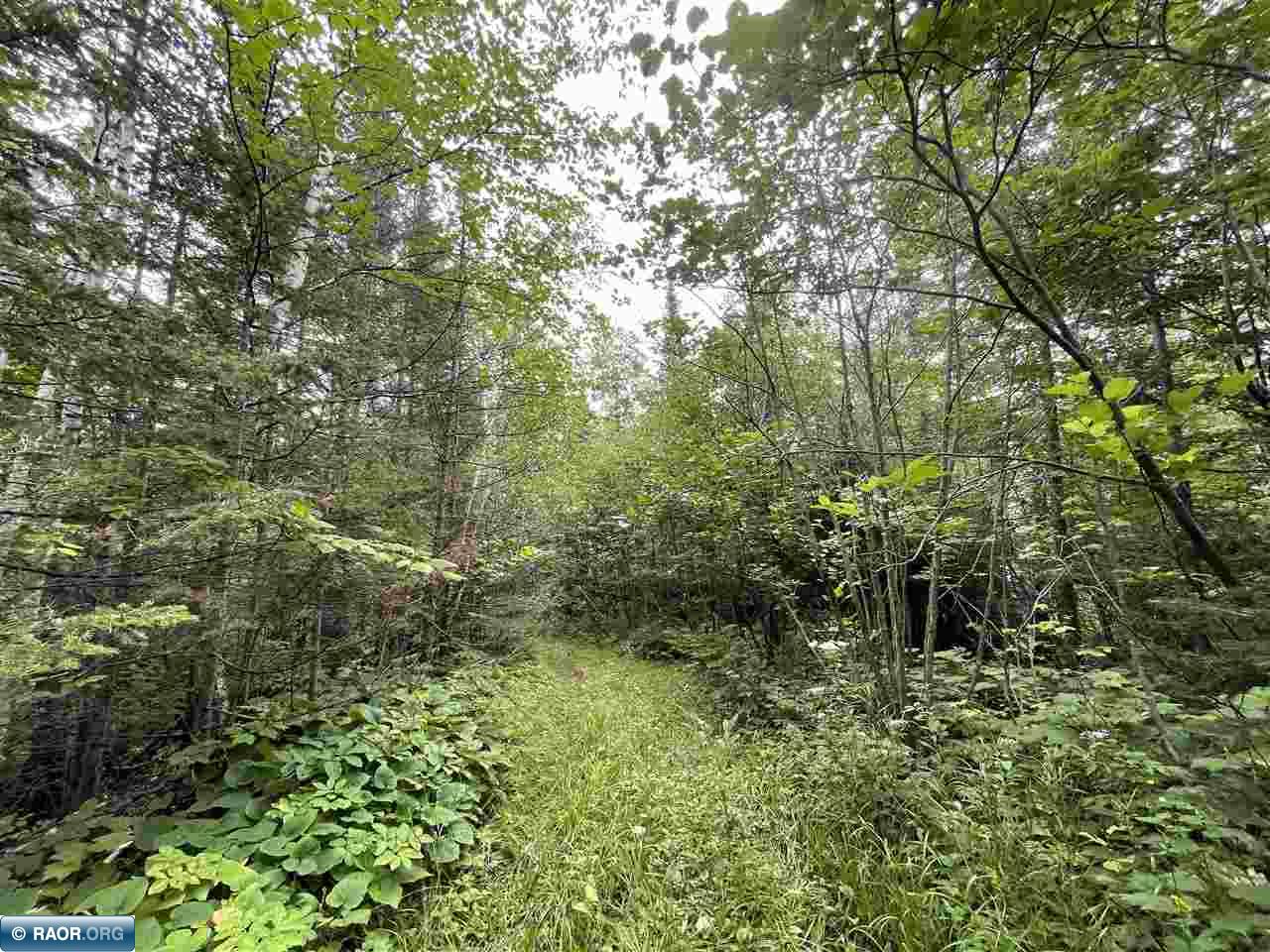 TBD Hwy 61 Two Harbors MN 55616 - Beaver-Lester Creek 144120 image1