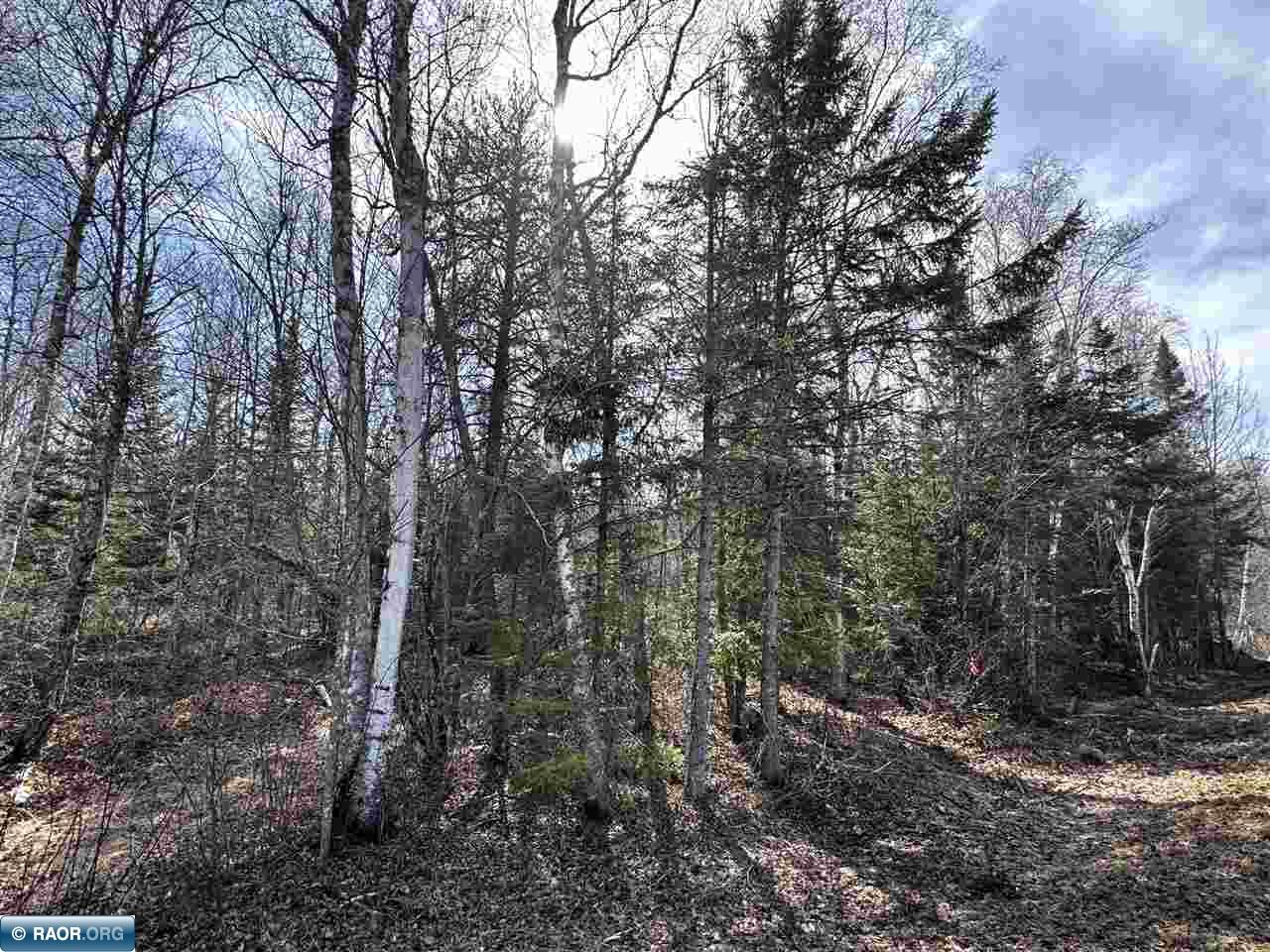 TBD Hwy 65 Britt MN 55710 149796 image1