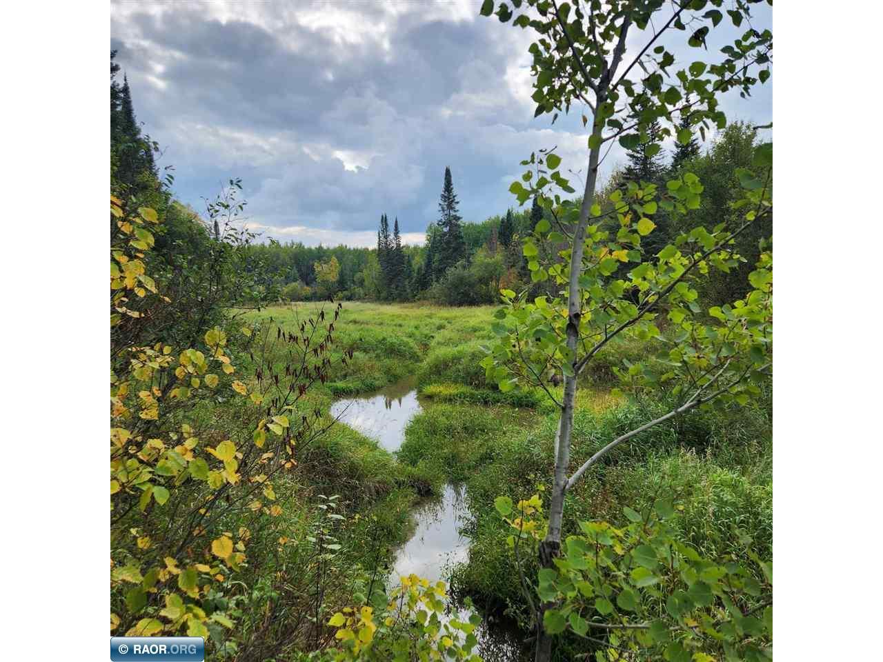 TBD Hwy 65 Gheen MN 55771 146683 image1