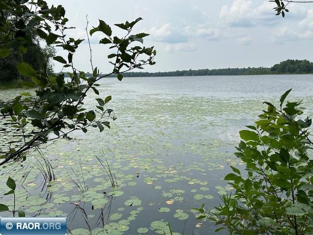 TBD Jola Road Eveleth MN 55734 - Elliot 148810 image10