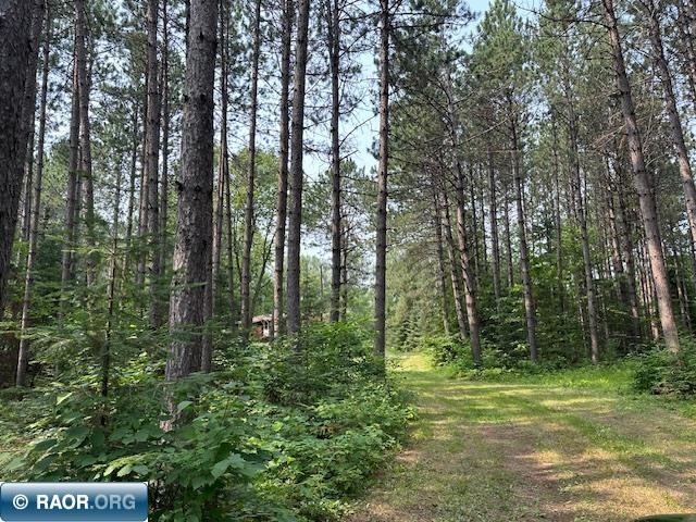 TBD Jola Road Eveleth MN 55734 - Elliot 148810 image7