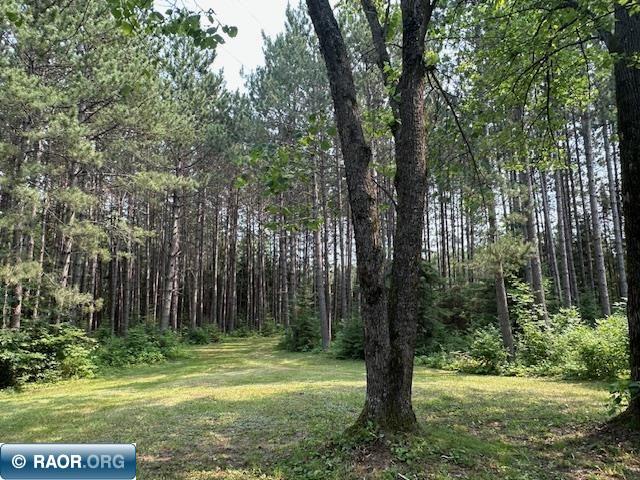 TBD Jola Road Eveleth MN 55734 - Elliot 148810 image8