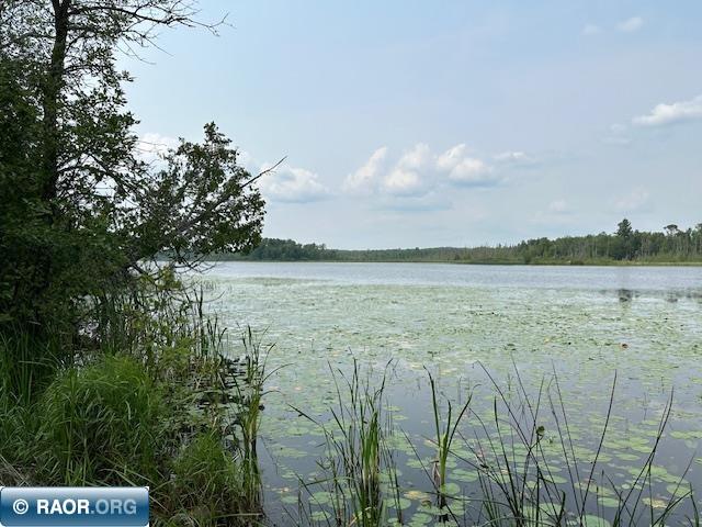 TBD Jola Road Eveleth MN 55734 - Elliot 148810 image9