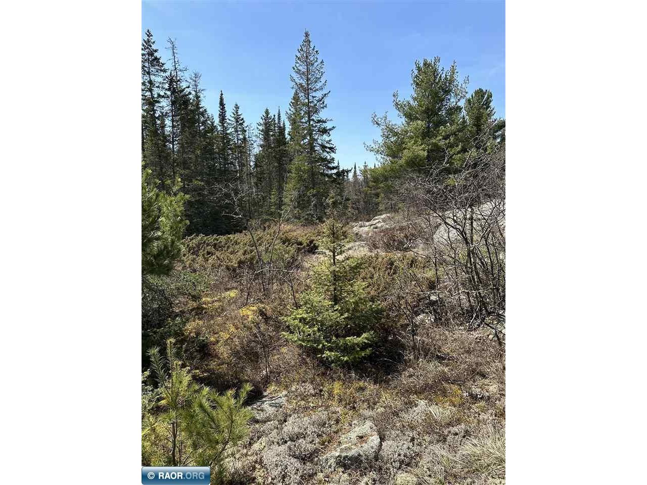 TBD Kabetogama Lake Land Kabetogama MN 56669 - Kabetogama Lake 146853 image10