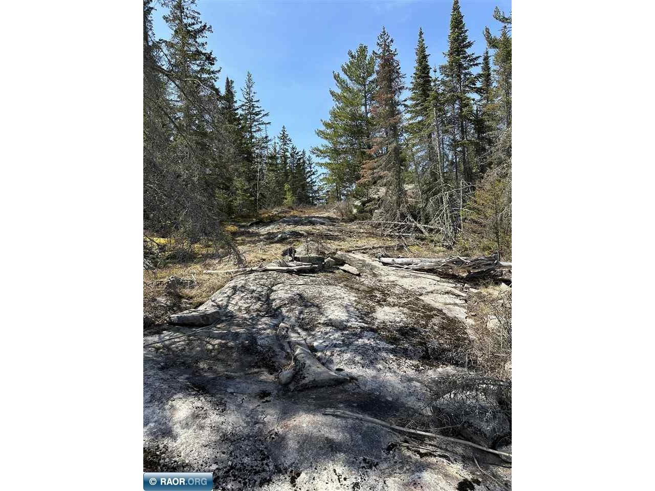 TBD Kabetogama Lake Land Kabetogama MN 56669 - Kabetogama Lake 146853 image11