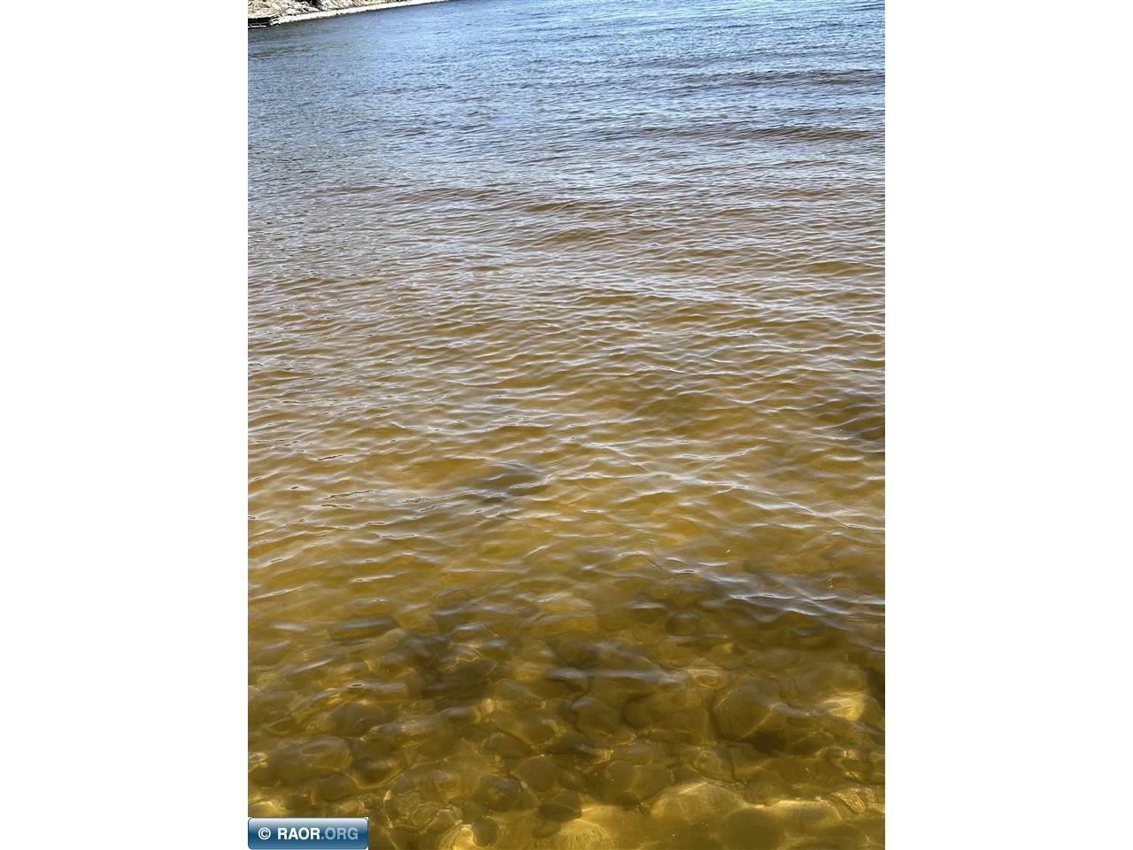 TBD Kabetogama Lake Land Kabetogama MN 56669 - Kabetogama Lake 146853 image13