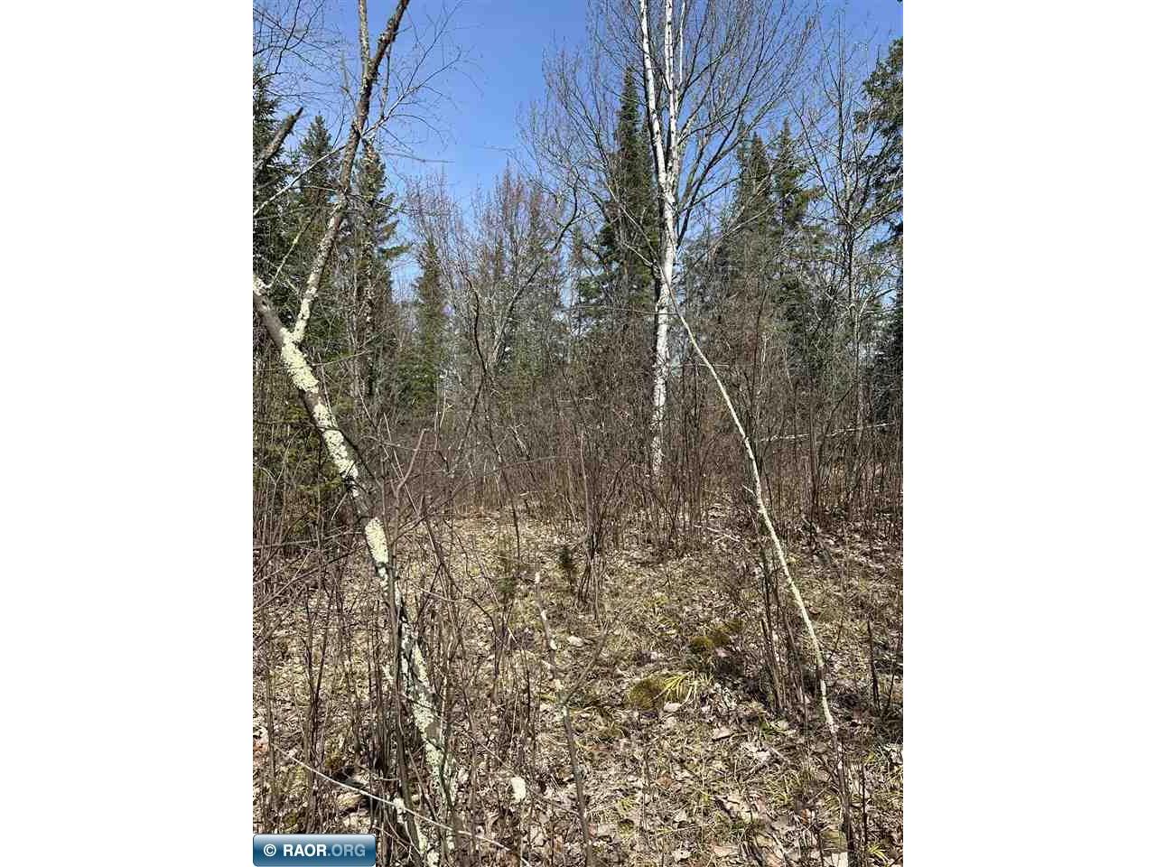 TBD Kabetogama Lake Land Kabetogama MN 56669 - Kabetogama Lake 146853 image4