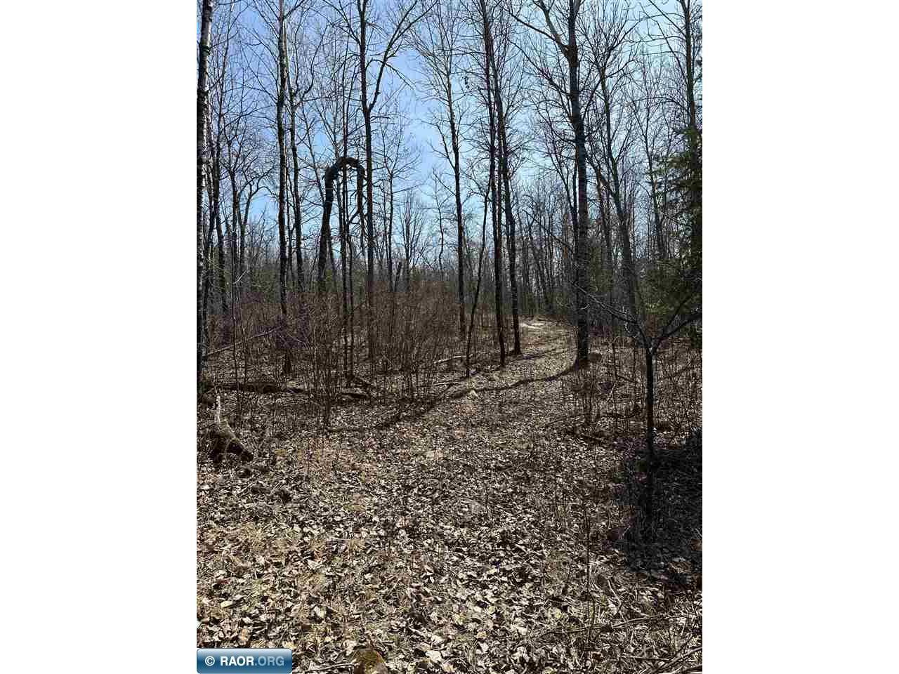 TBD Kabetogama Lake Land Kabetogama MN 56669 - Kabetogama Lake 146853 image5