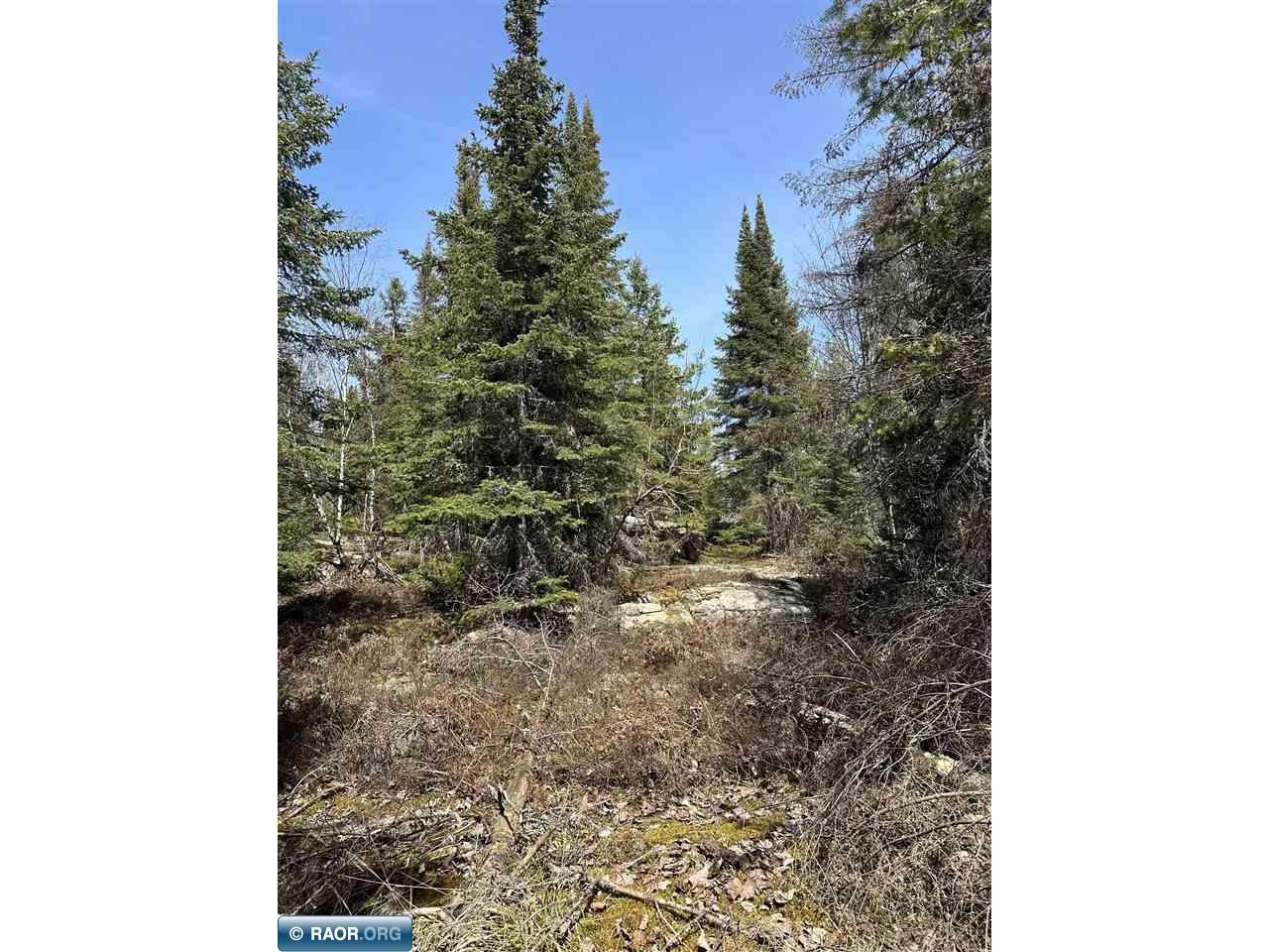 TBD Kabetogama Lake Land Kabetogama MN 56669 - Kabetogama Lake 146853 image6