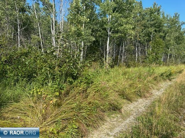 TBD Karjala Road Tower MN 55790 145774 image1