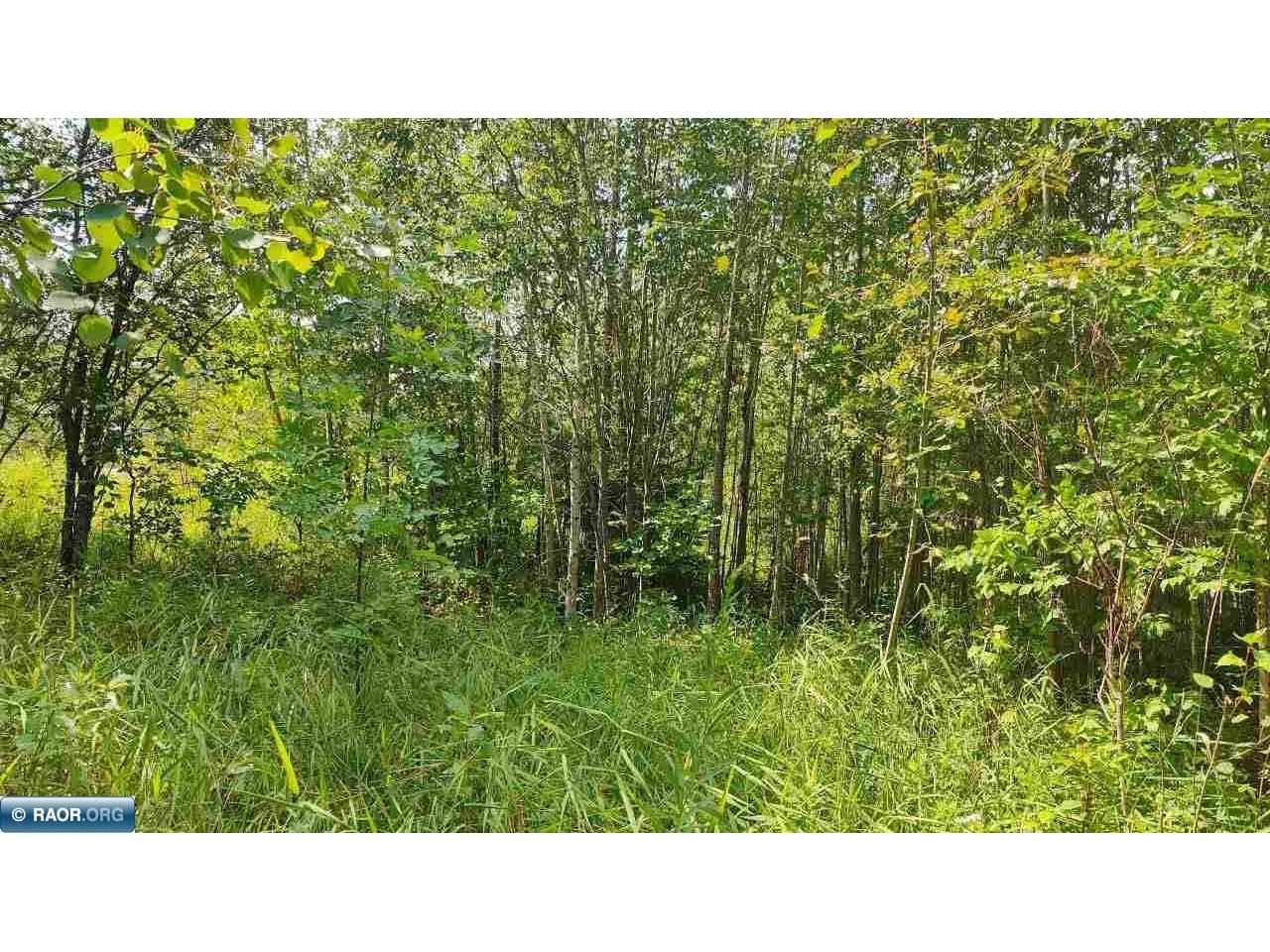 TBD Lake Street Orr MN 55771 147310 image1