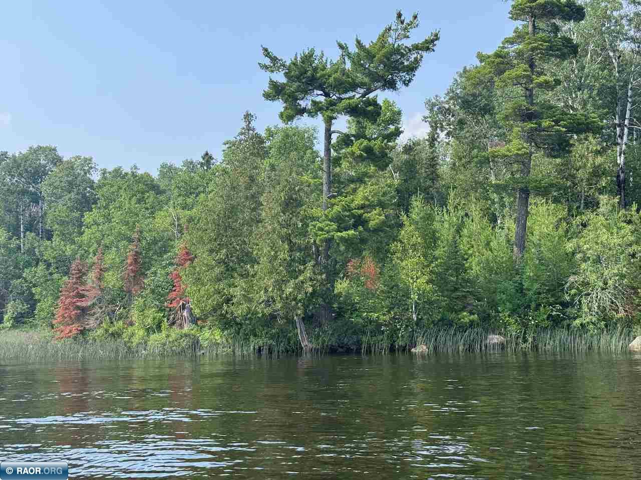 TBD Lake Vermilion N Tower MN 55790 - Vermilion 148750 image1