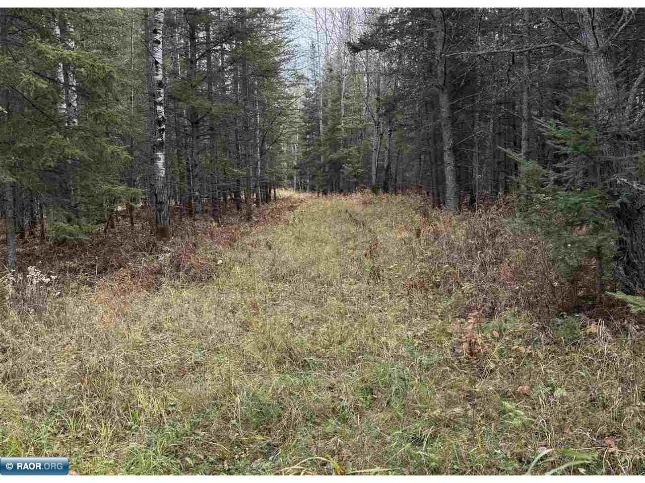 TBD Lane 55 County Road 341 Aurora MN 55705 149260 image1