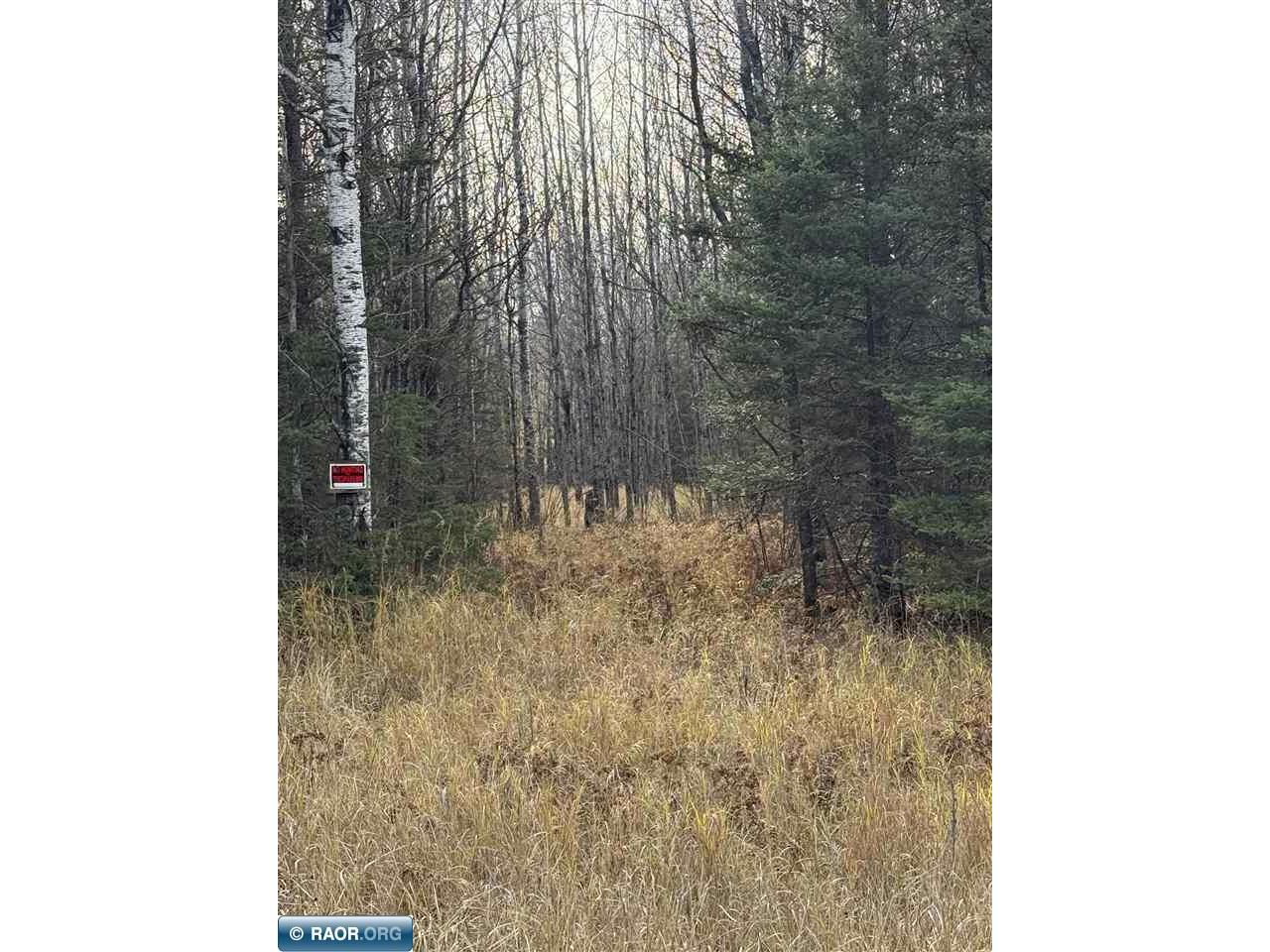 TBD Lane 55 County Road 341 Aurora MN 55705 149260 image11