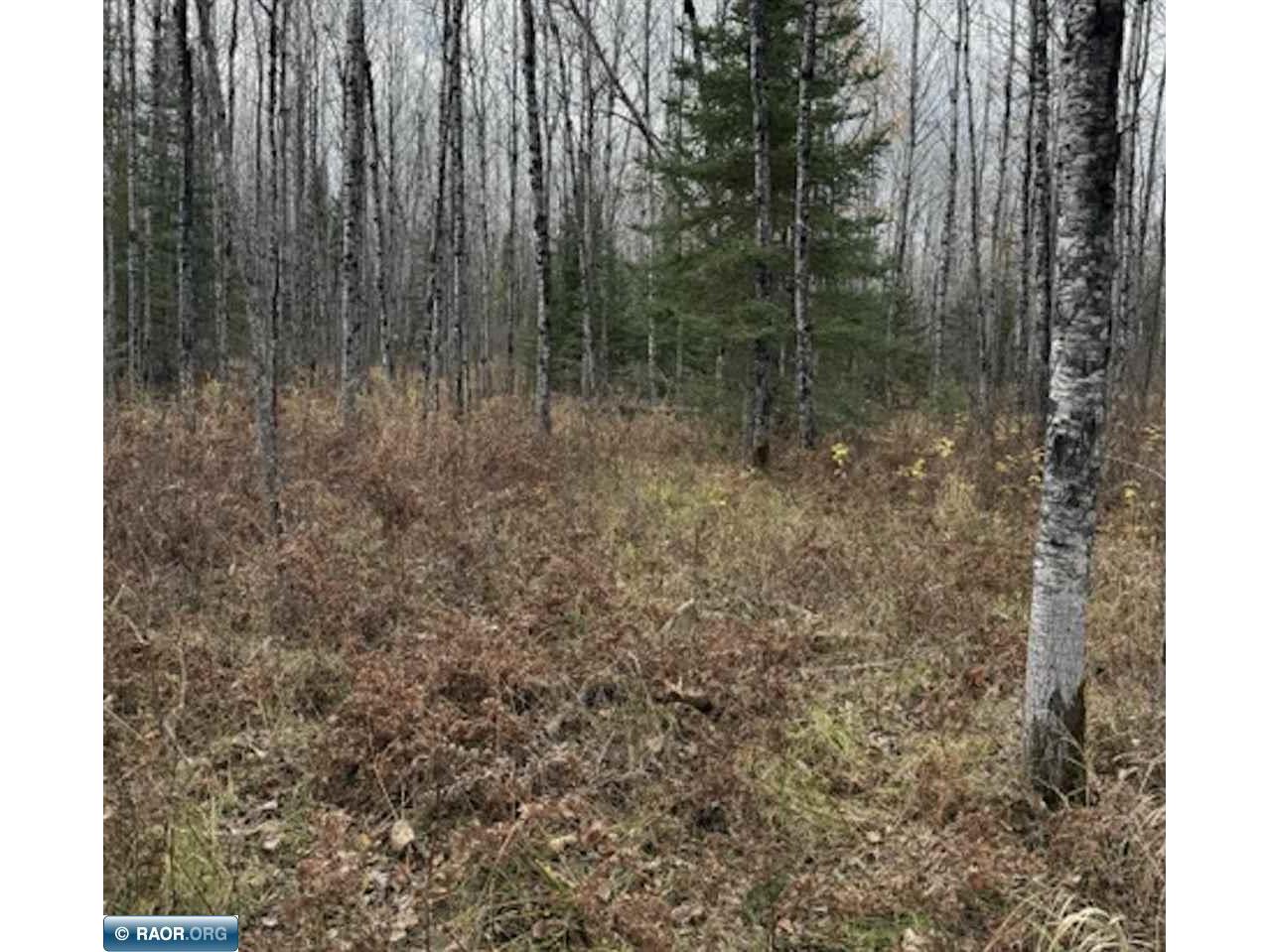 TBD Lane 55 County Road 341 Aurora MN 55705 149260 image12