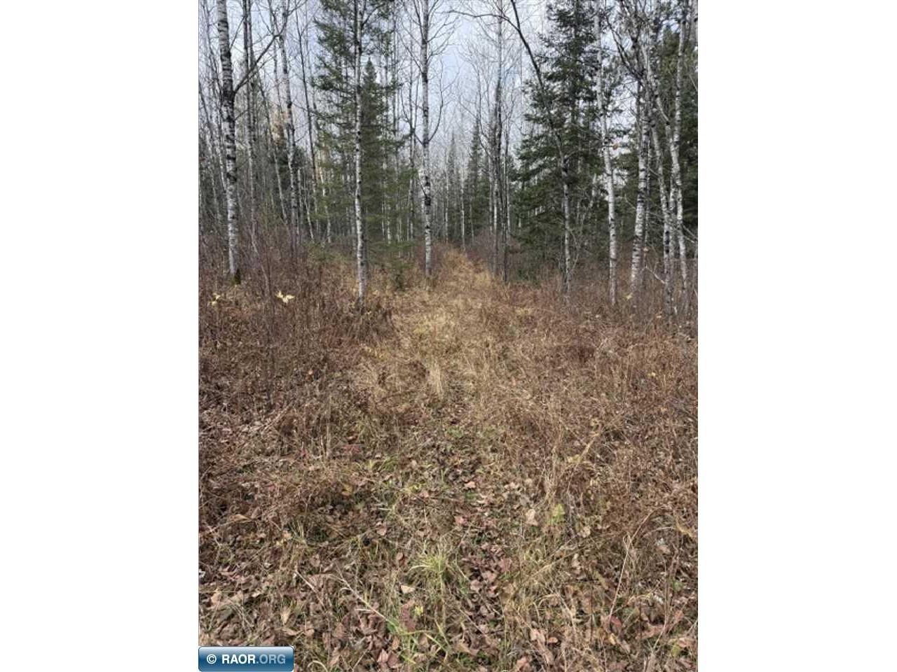 TBD Lane 55 County Road 341 Aurora MN 55705 149260 image13