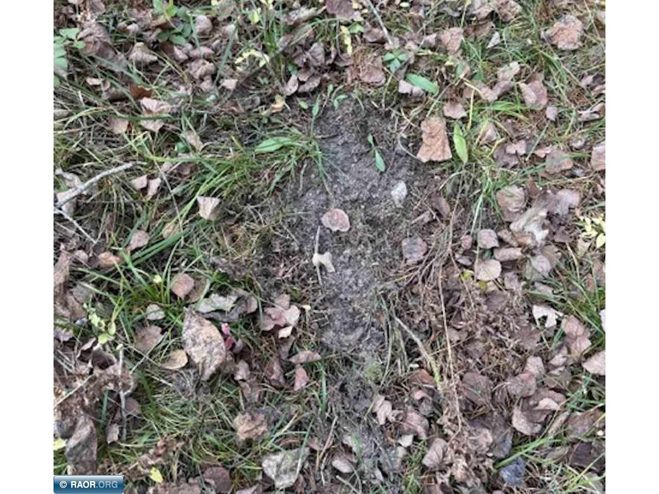 TBD Lane 55 County Road 341 Aurora MN 55705 149260 image14