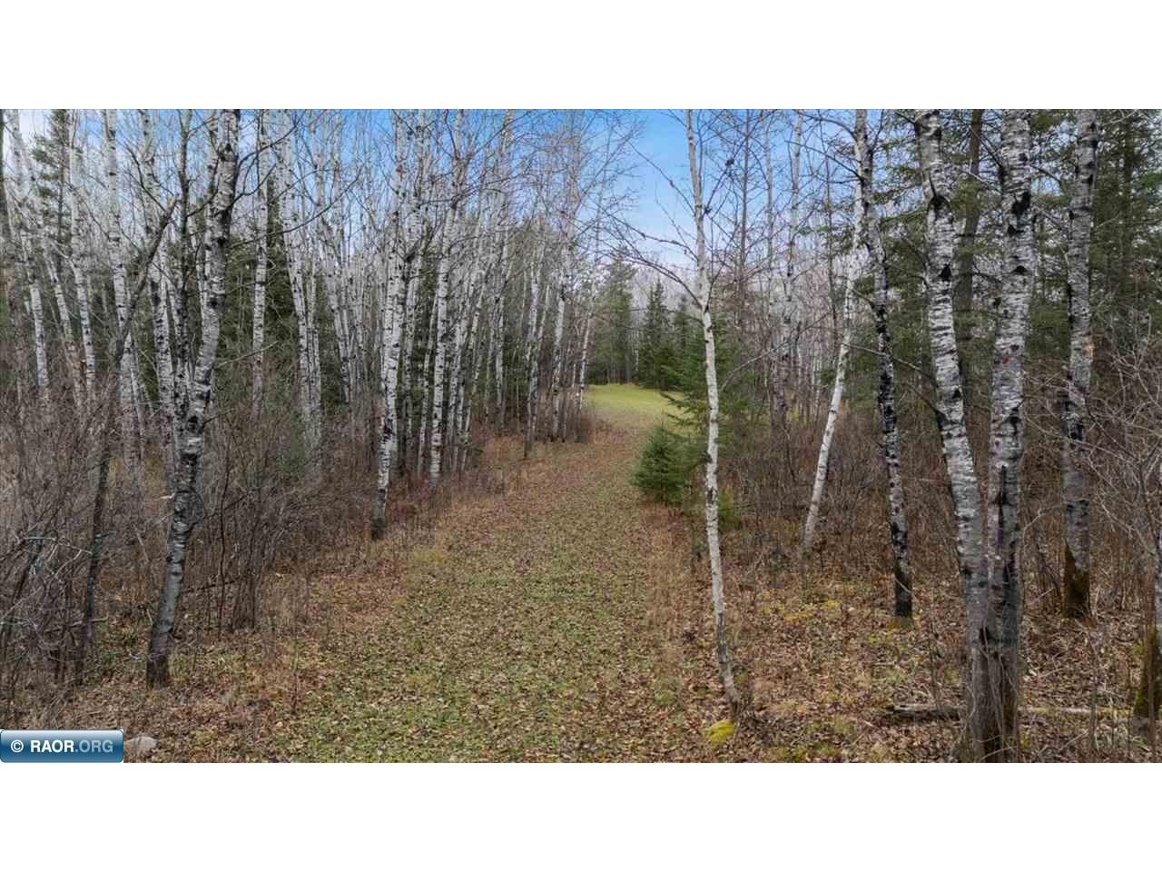 TBD Lane 55 County Road 341 Aurora MN 55705 149260 image21