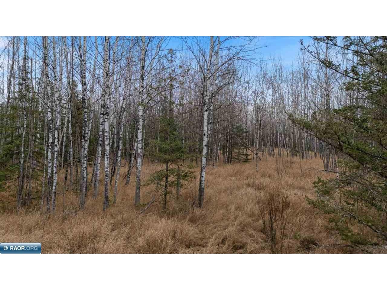 TBD Lane 55 County Road 341 Aurora MN 55705 149260 image26