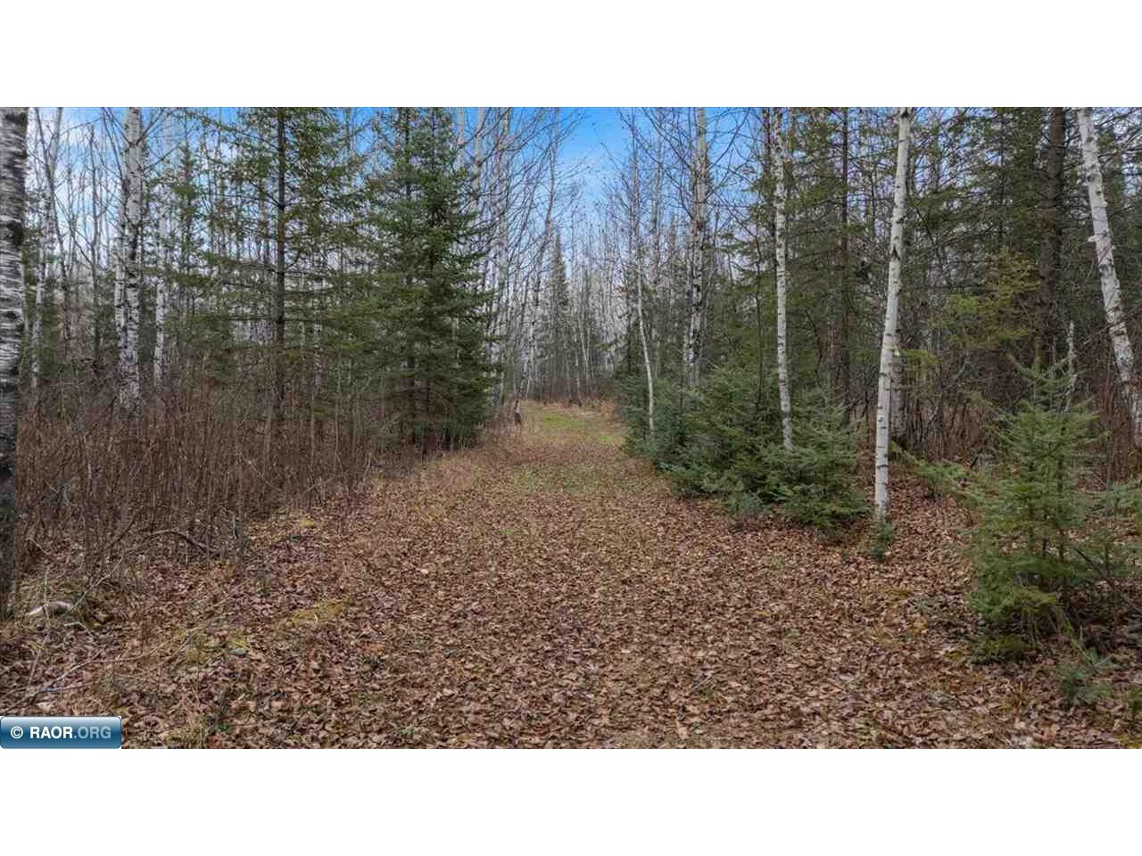 TBD Lane 55 County Road 341 Aurora MN 55705 149260 image5