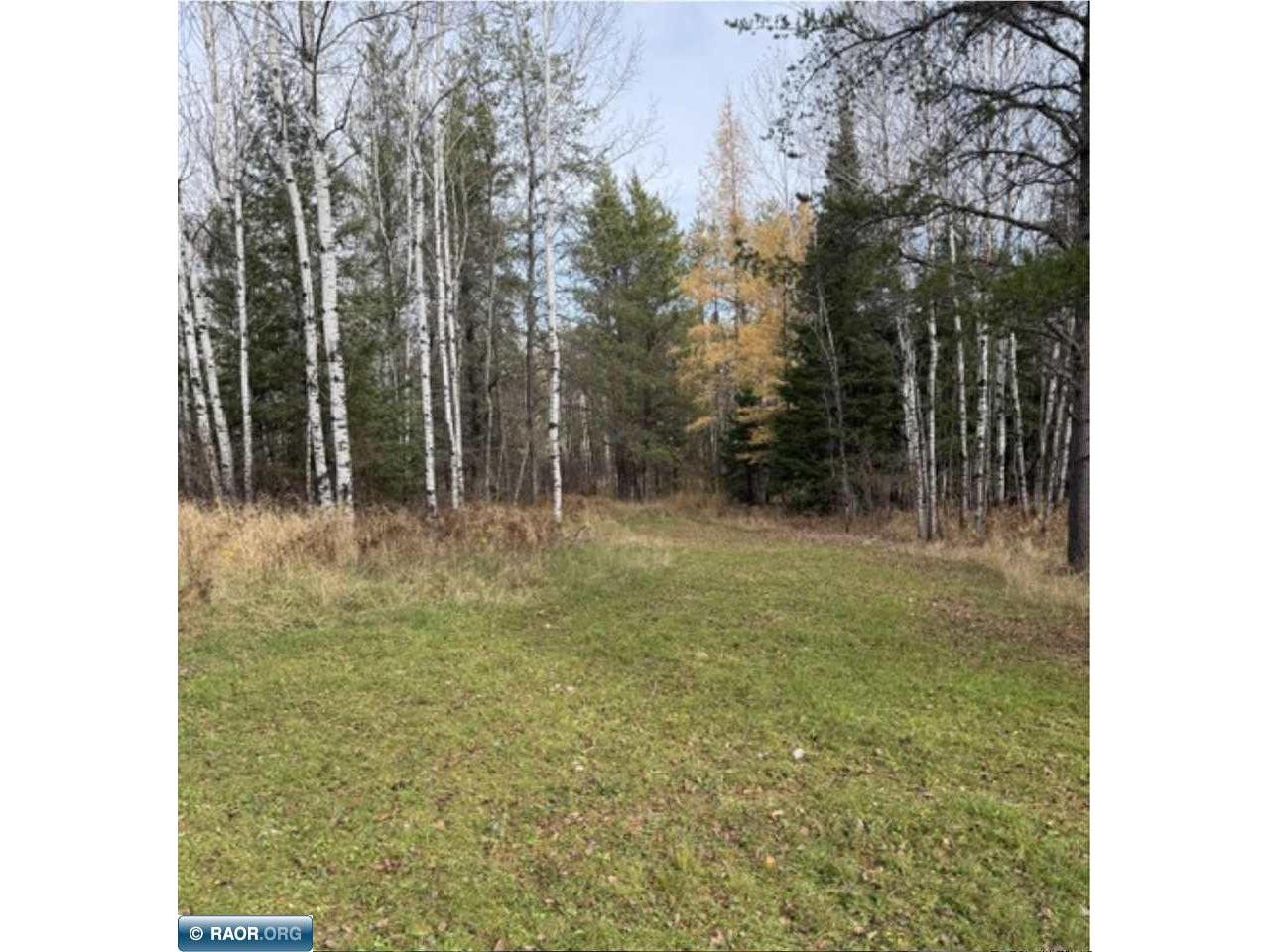 TBD Lane 55 County Road 341 Aurora MN 55705 149260 image7