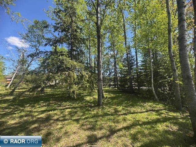 TBD Meadow Dr Hibbing MN 55746 149537 image2