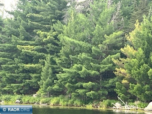 TBD N Ban Lake Spur Orr MN 55771 - Ban 149042 image15