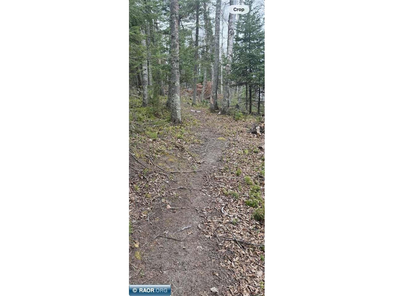TBD N Birch Ridge Road Britt MN 55710 - Leander 150269 image21