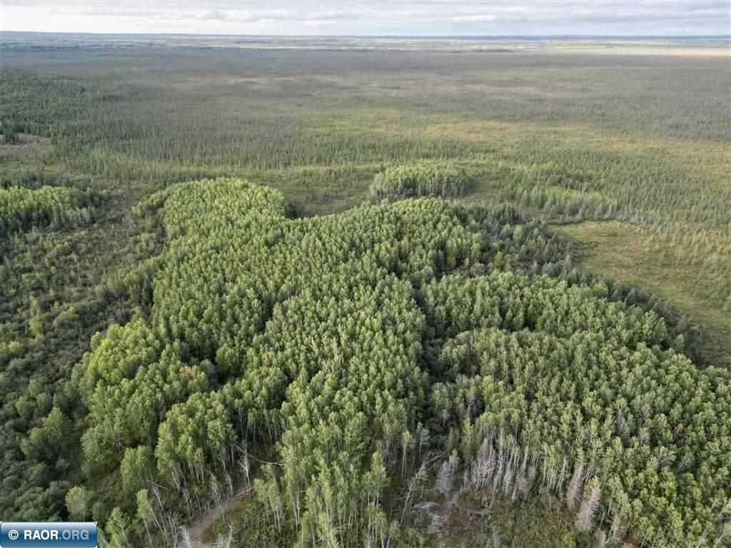 TBD Olson Road W Orr MN 55790 150017 image1