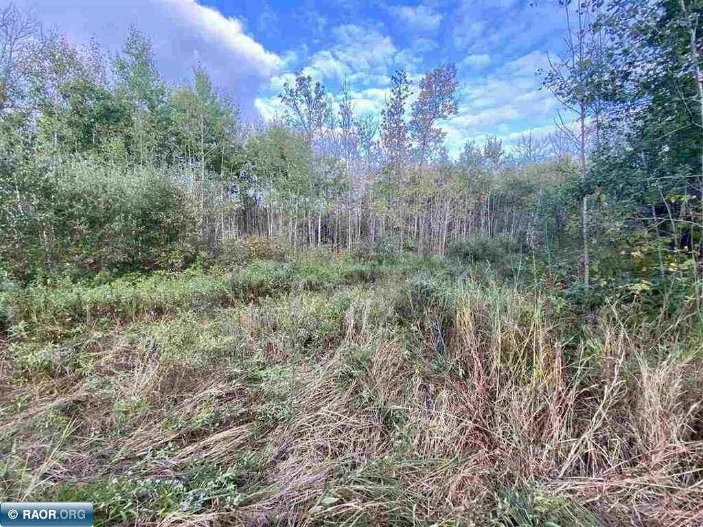TBD Olson Road W Orr MN 55790 150017 image10