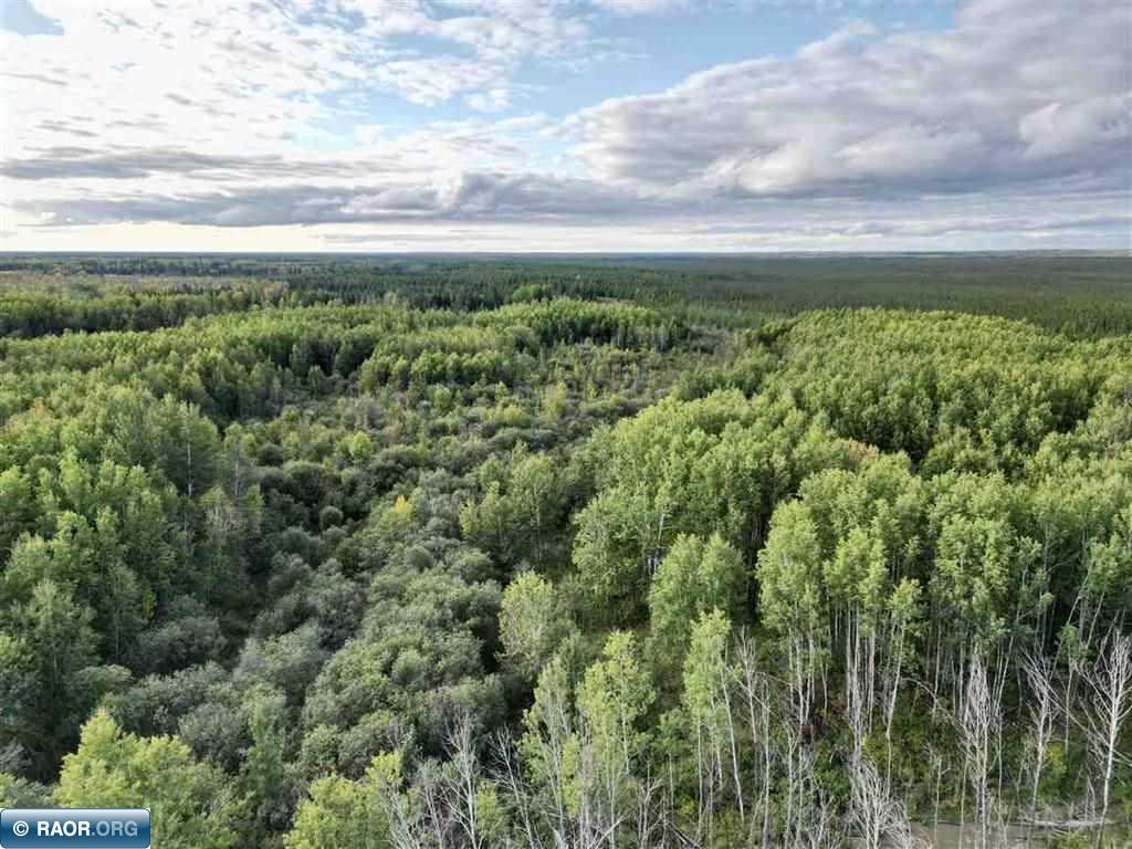 TBD Olson Road W Orr MN 55790 150017 image2