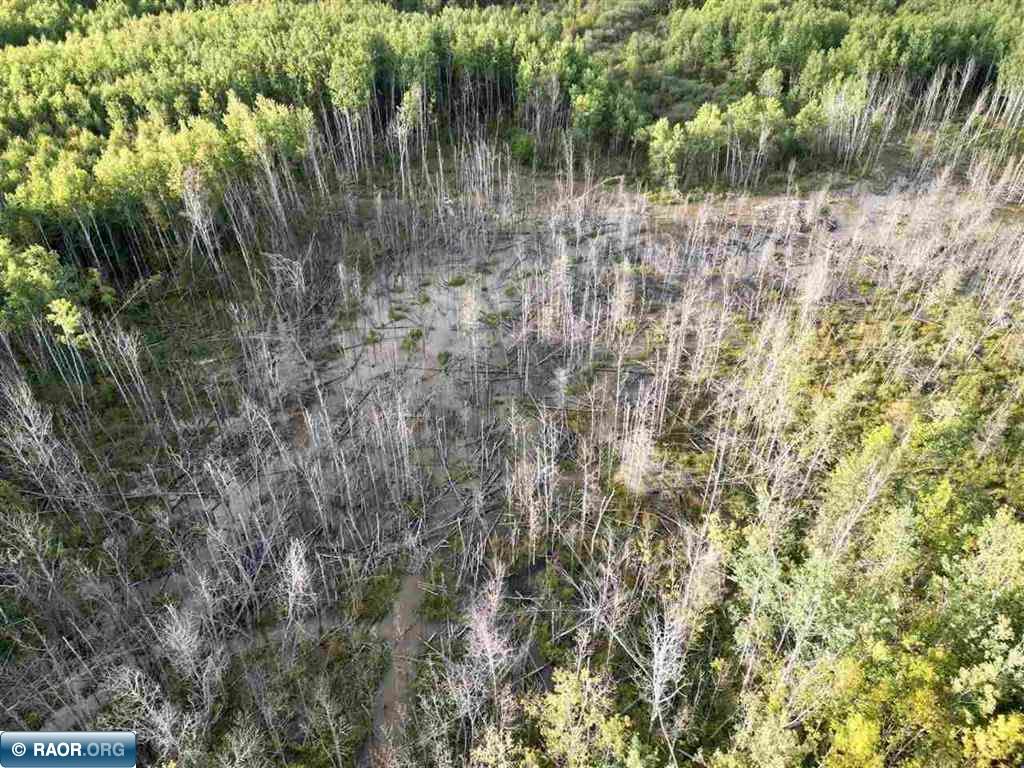 TBD Olson Road W Orr MN 55790 150017 image4