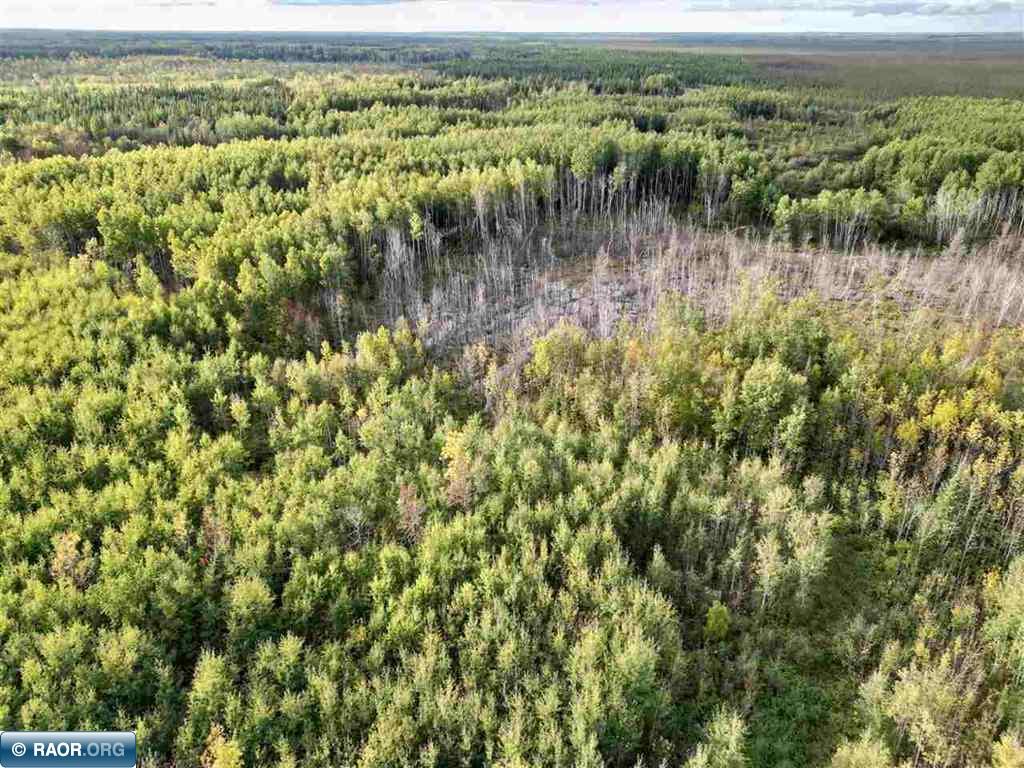 TBD Olson Road W Orr MN 55790 150017 image5