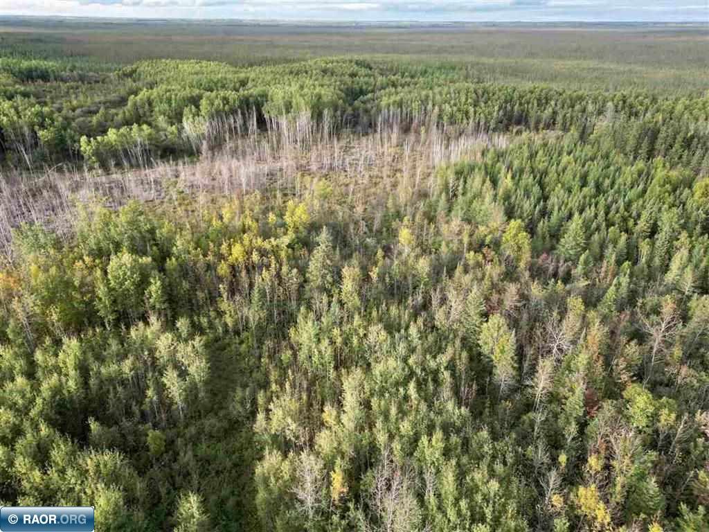 TBD Olson Road W Orr MN 55790 150017 image6