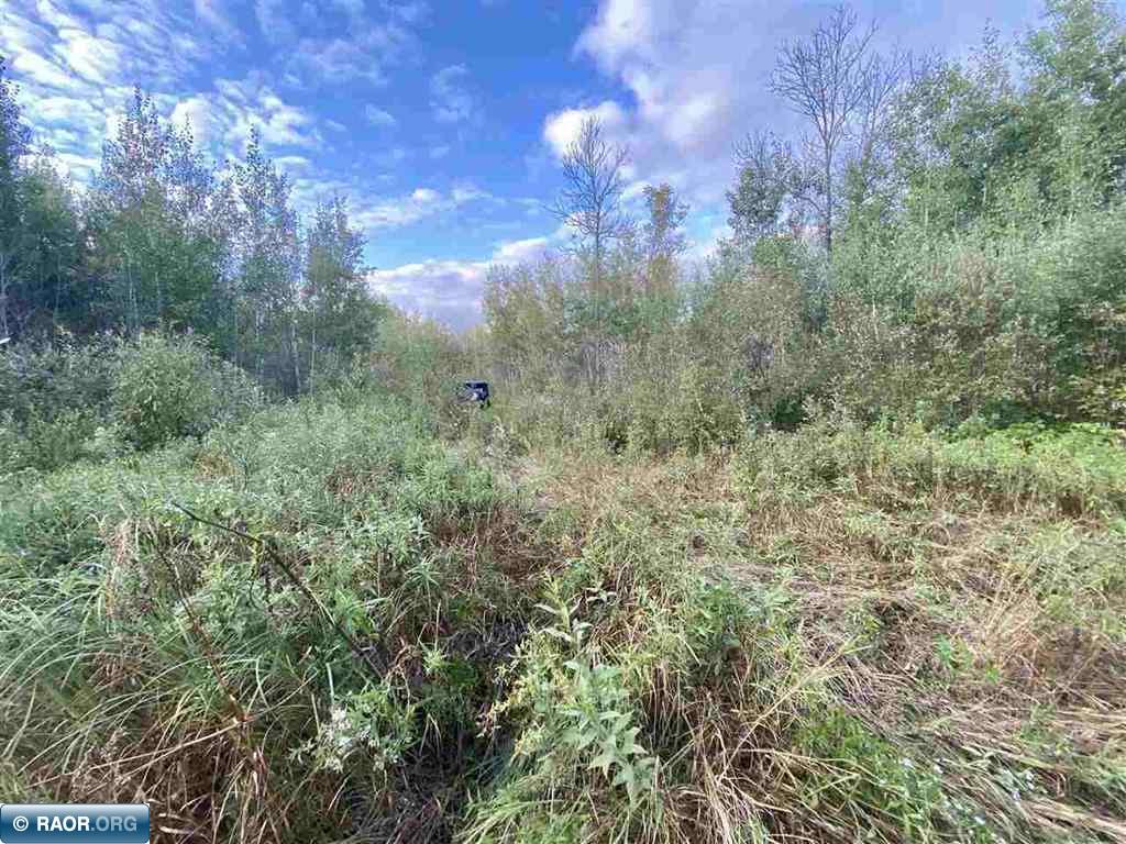 TBD Olson Road W Orr MN 55790 150017 image9