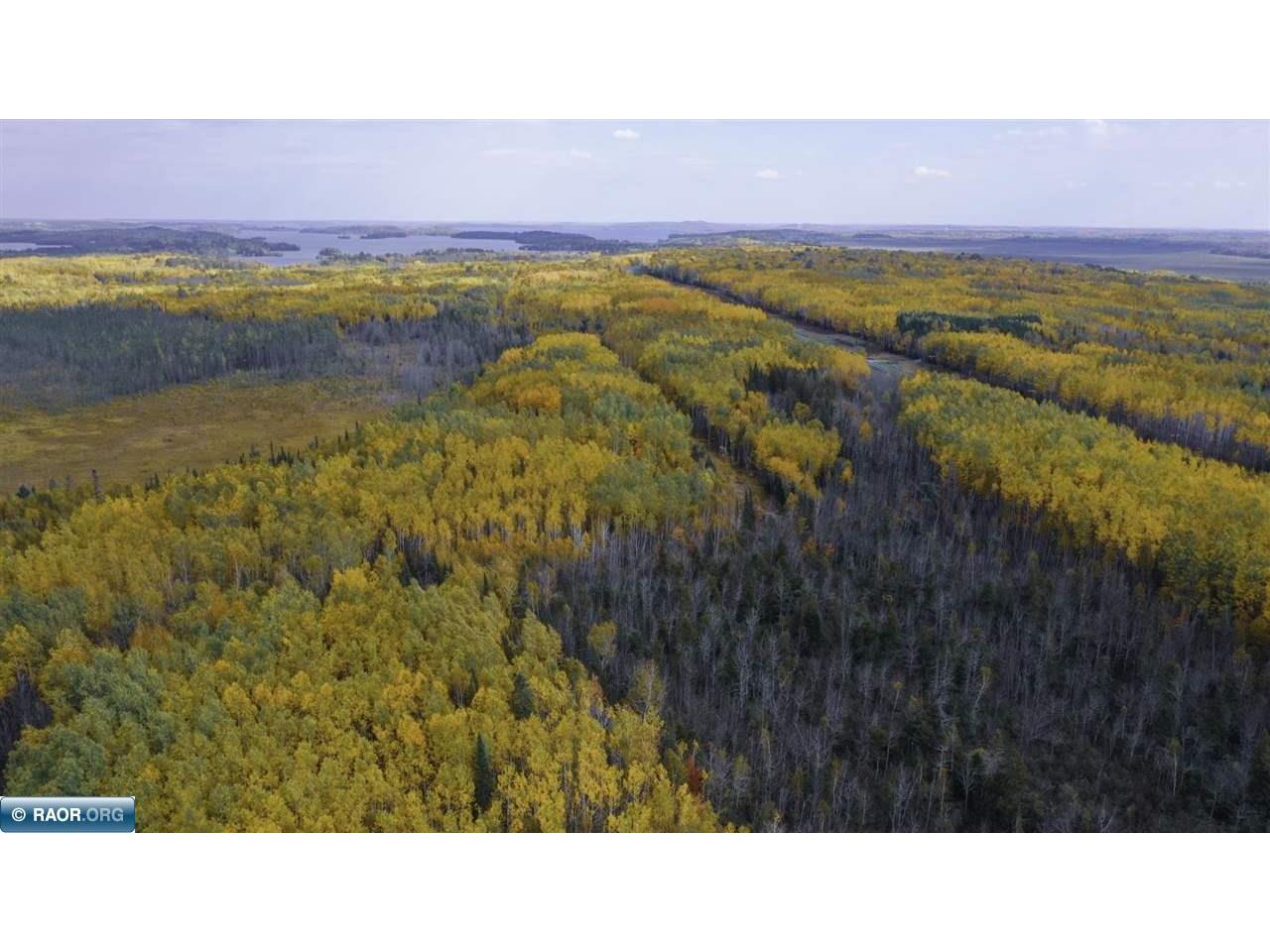 TBD Parcel 15 Hwy 115 Tower MN 55790 149894 image13