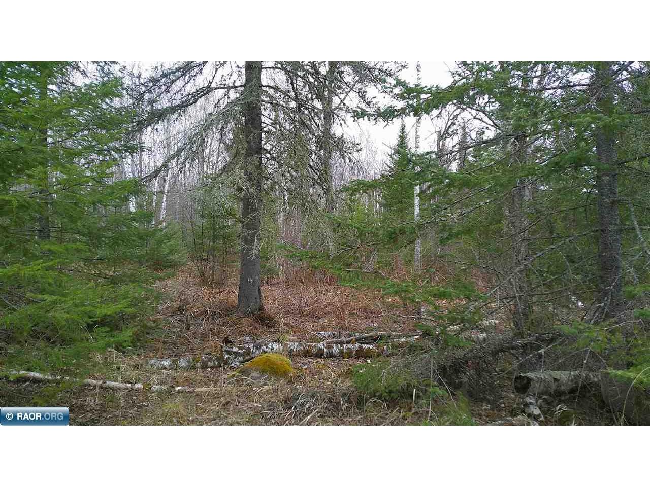 TBD Parcel 15 Hwy 115 Tower MN 55790 149894 image14