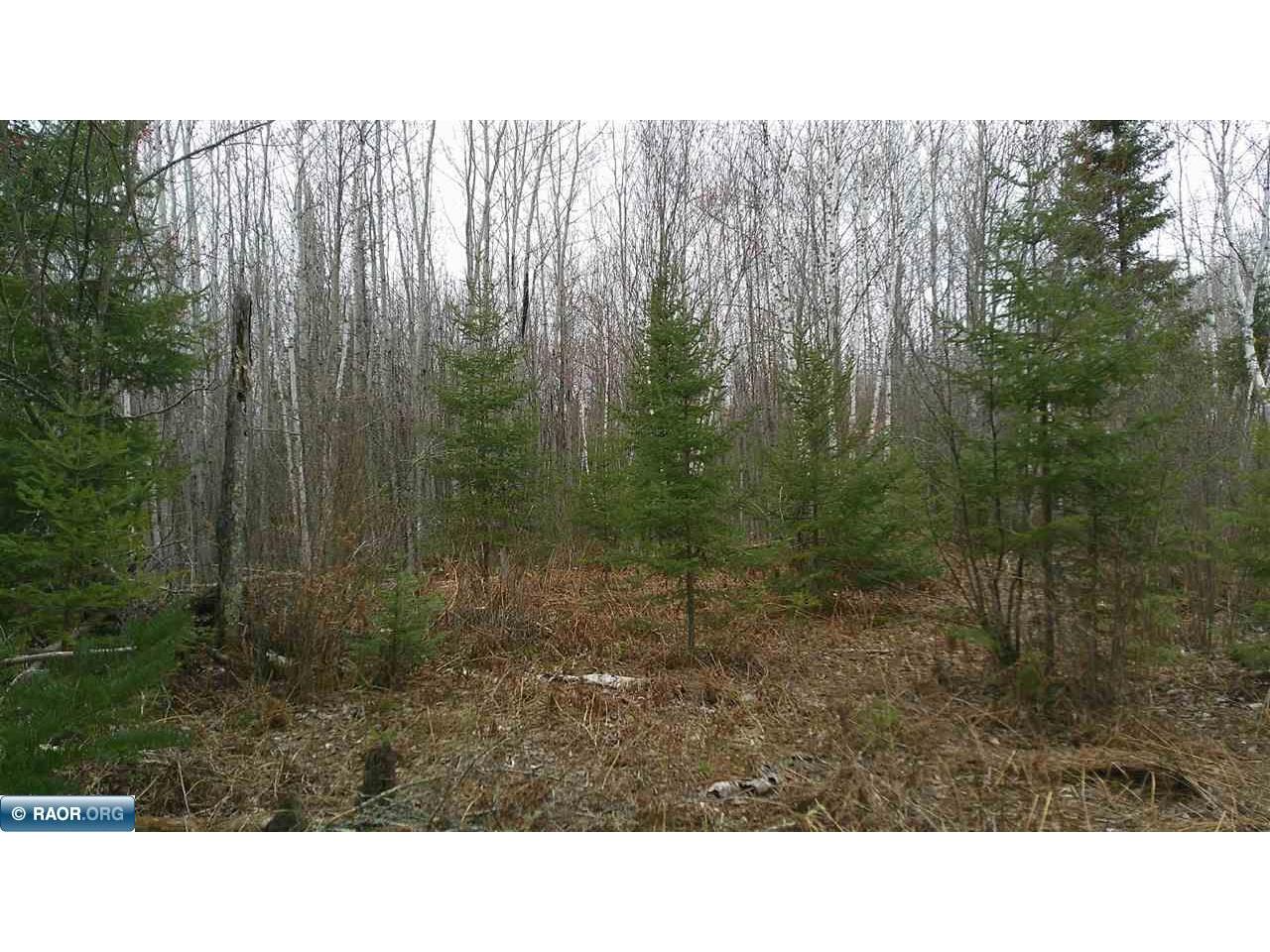 TBD Parcel 15 Hwy 115 Tower MN 55790 149894 image15